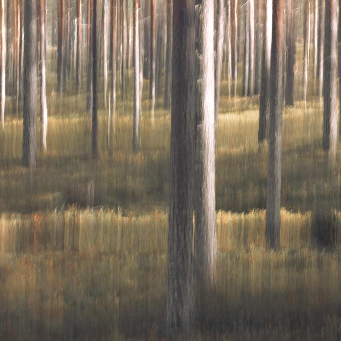 Hearthwood (Mini Fine Art Print)