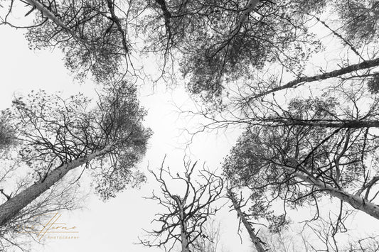 Taivaan Portti - Tiia Hurme Photography