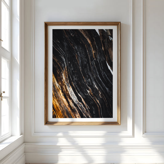 Metsän Vanhin II - Tiia Hurme Photography