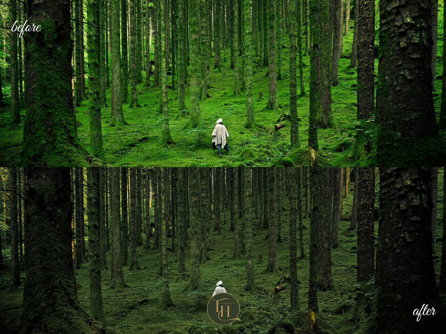 Mystical Forest Lightroom Preset Pack