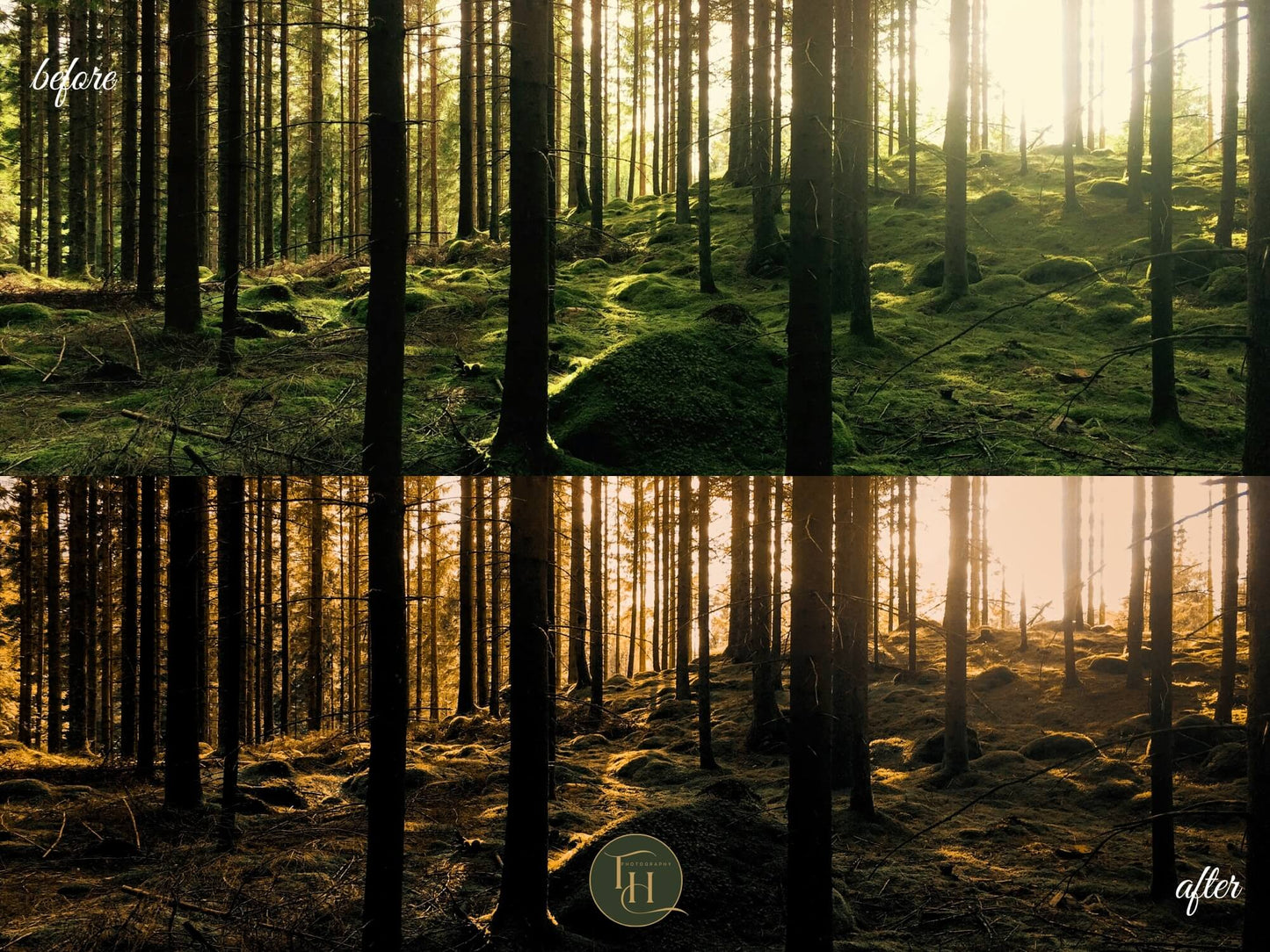 Mystical Forest Lightroom Preset Pack