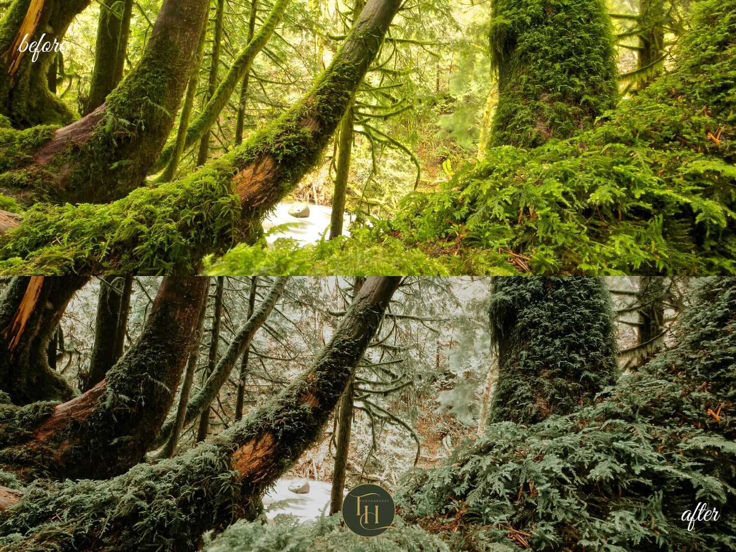 Mystical Forest Lightroom Preset Pack