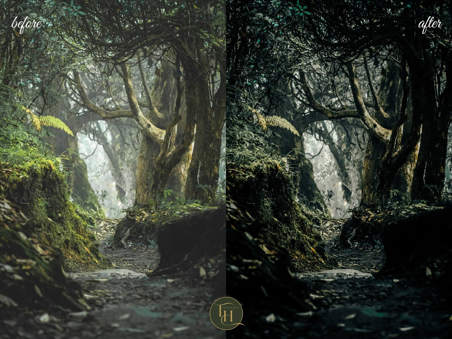 Mystical Forest Lightroom Preset Pack