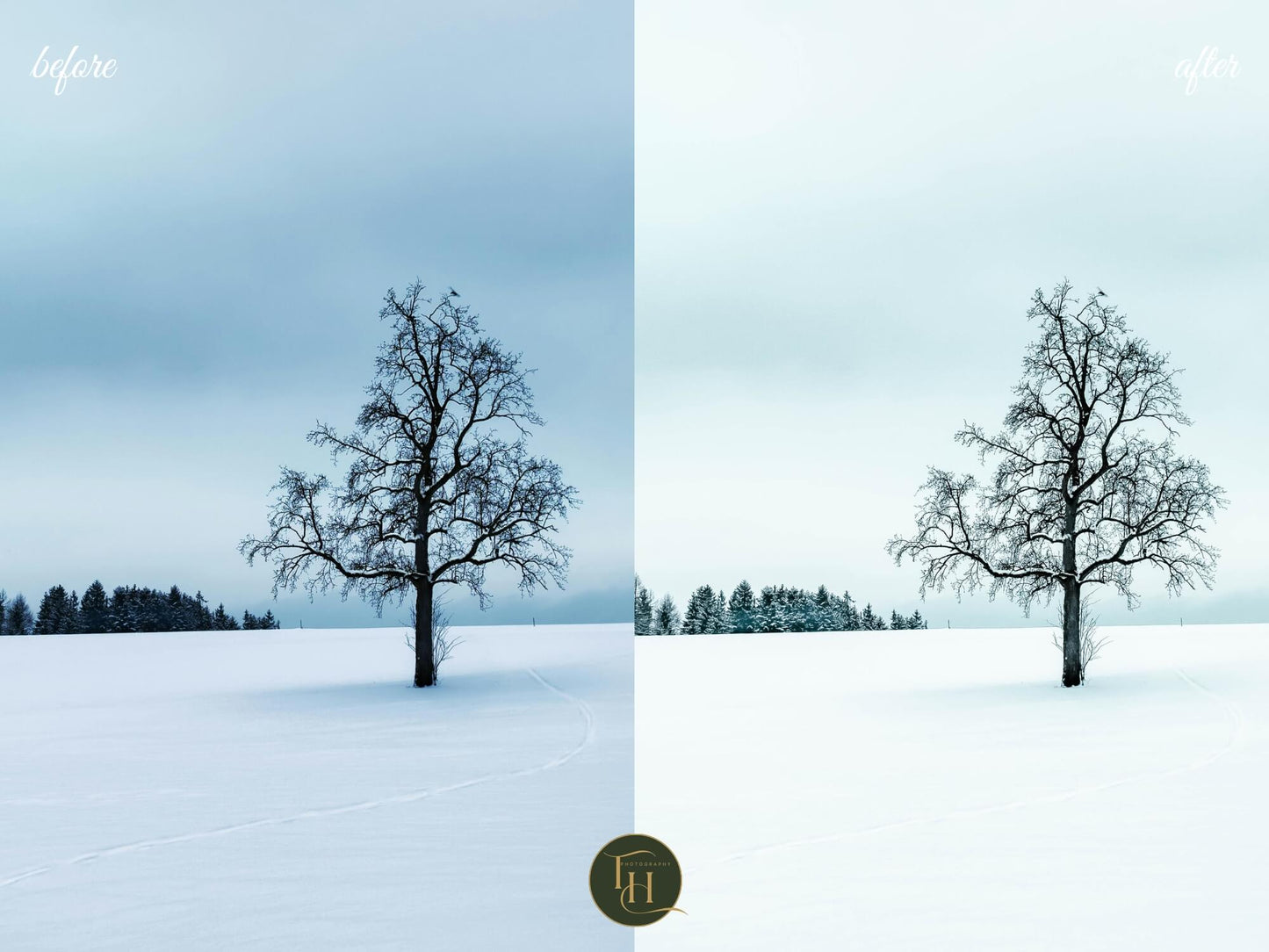 Snow & Lakes Lightroom Preset Pack