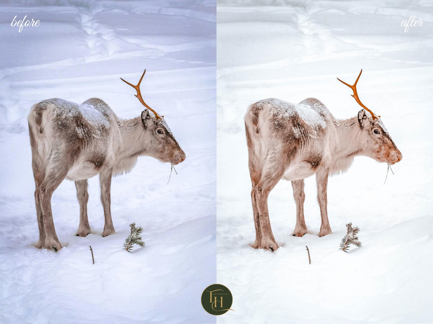 Snow & Lakes Lightroom Preset Pack