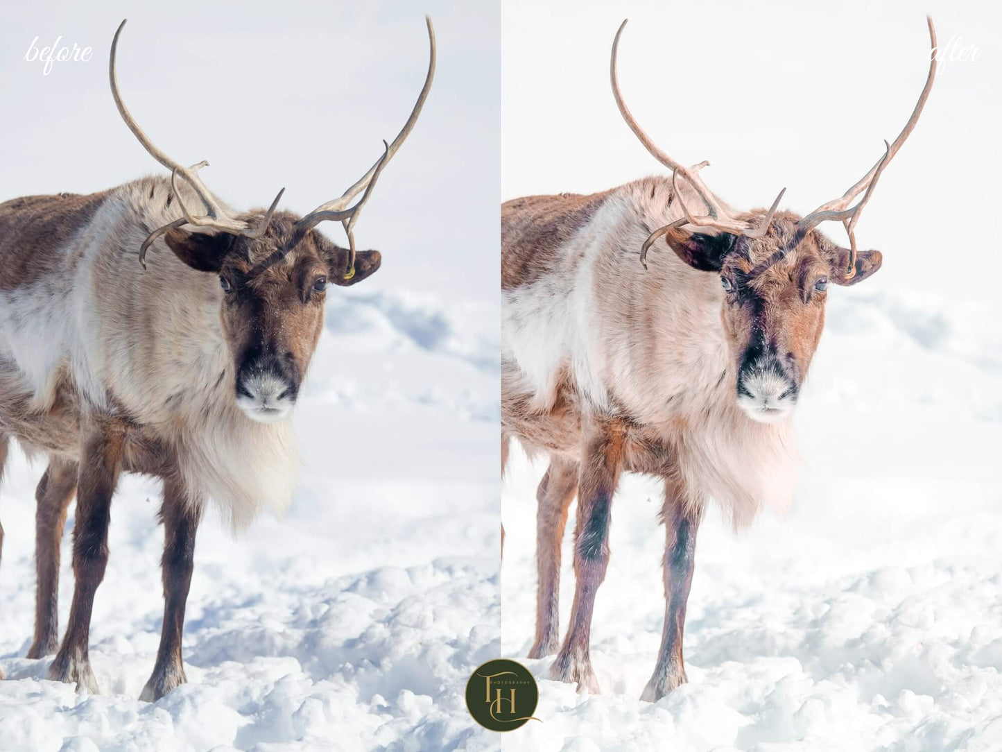 Snow & Lakes Lightroom Preset Pack