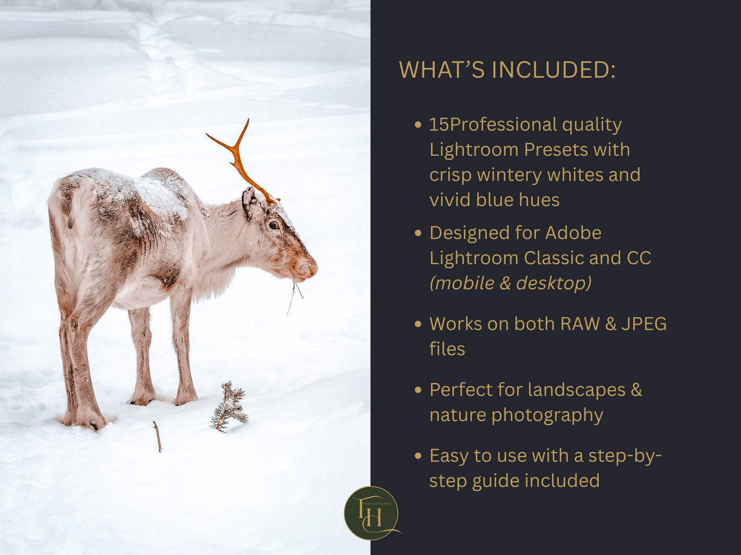 Snow & Lakes Lightroom Preset Pack
