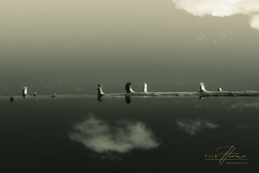 Us Between Two Realms - Tiia Hurme Photography