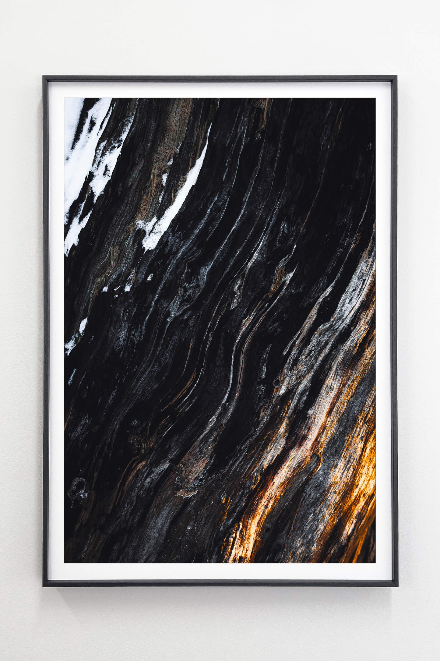 The Elders Set - Tiia Hurme Photography