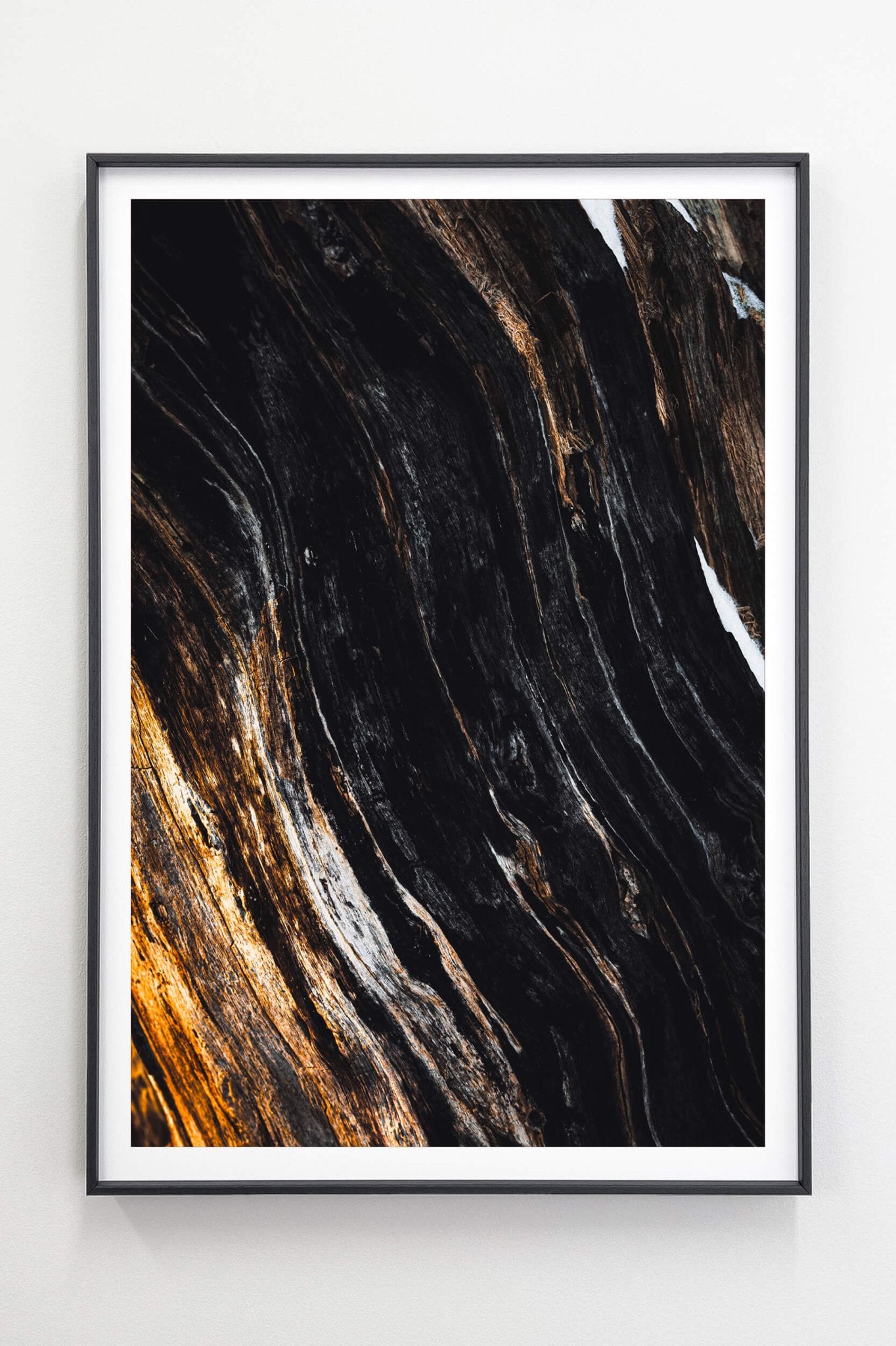 The Elders Set - Tiia Hurme Photography