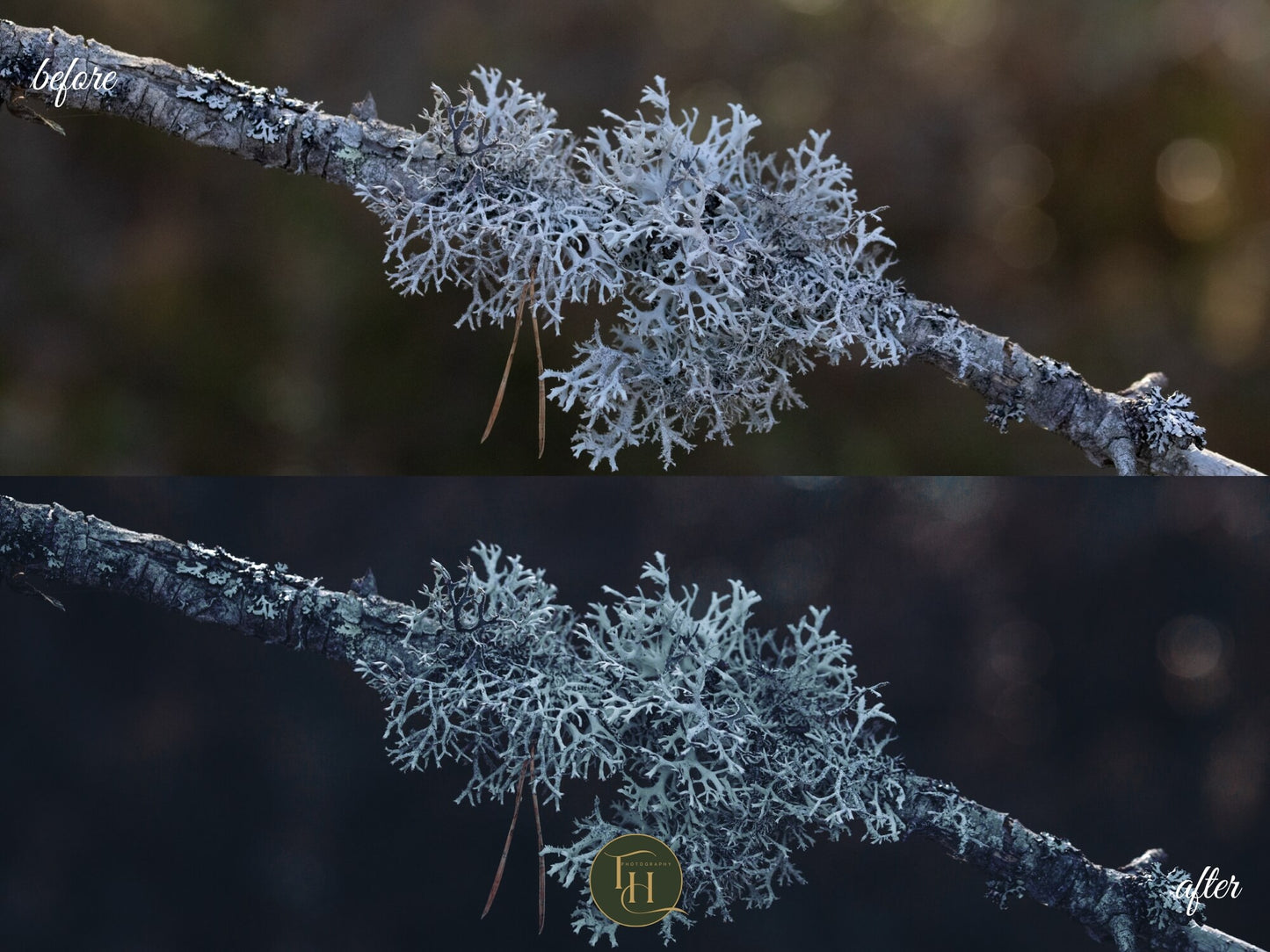 All In One Lightroom Preset Bundle