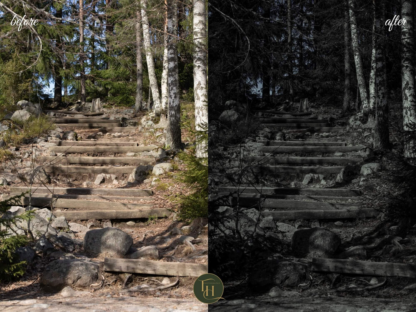 Nocturnal Forest Lightroom Preset Pack