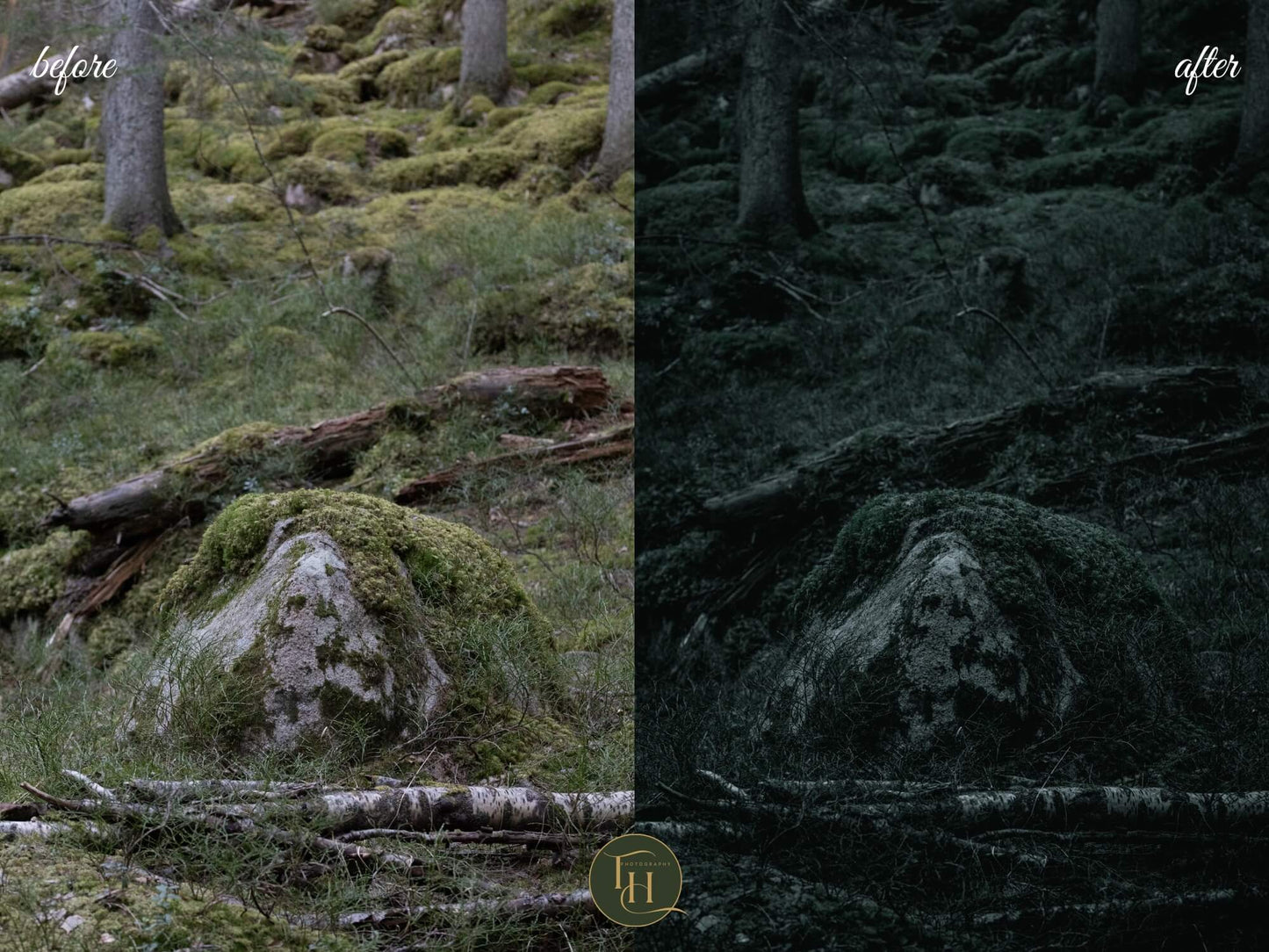 Nocturnal Forest Lightroom Preset Pack