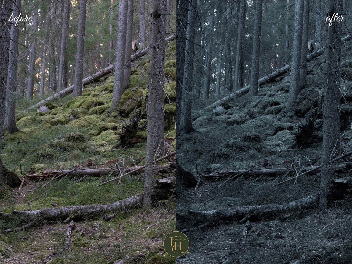 All In One Lightroom Preset Bundle