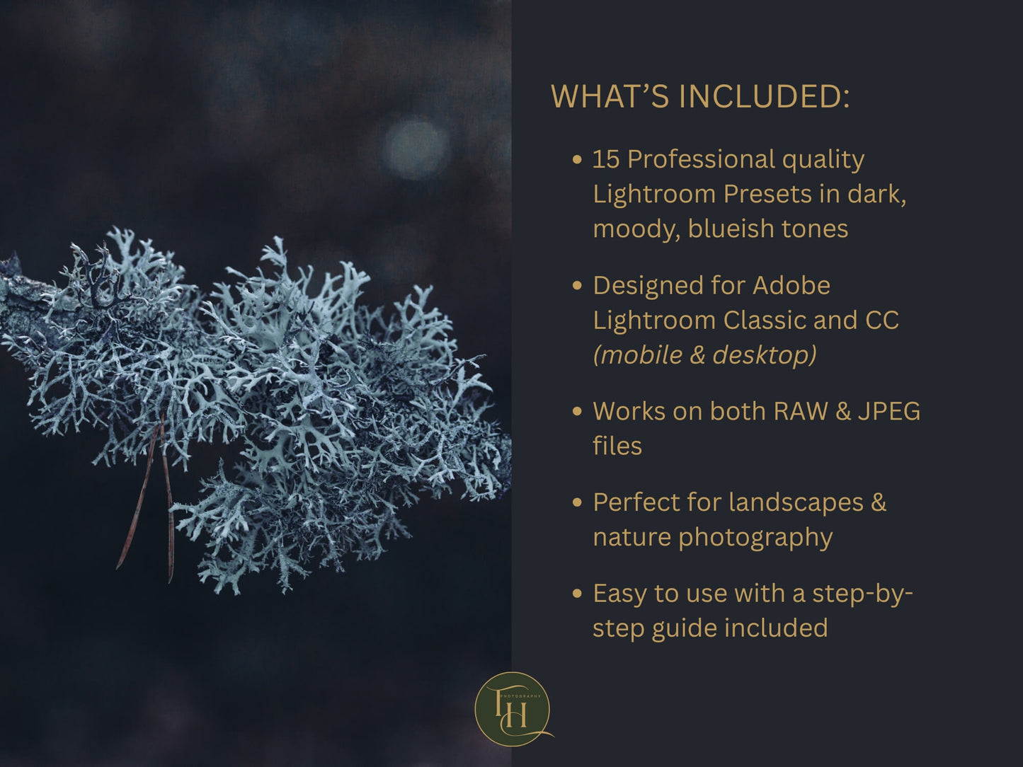 Nocturnal Forest Lightroom Preset Pack