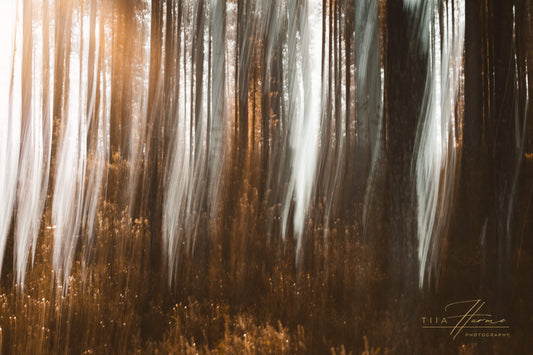 Introducing my newest collection to you - Tiia Hurme Photography
