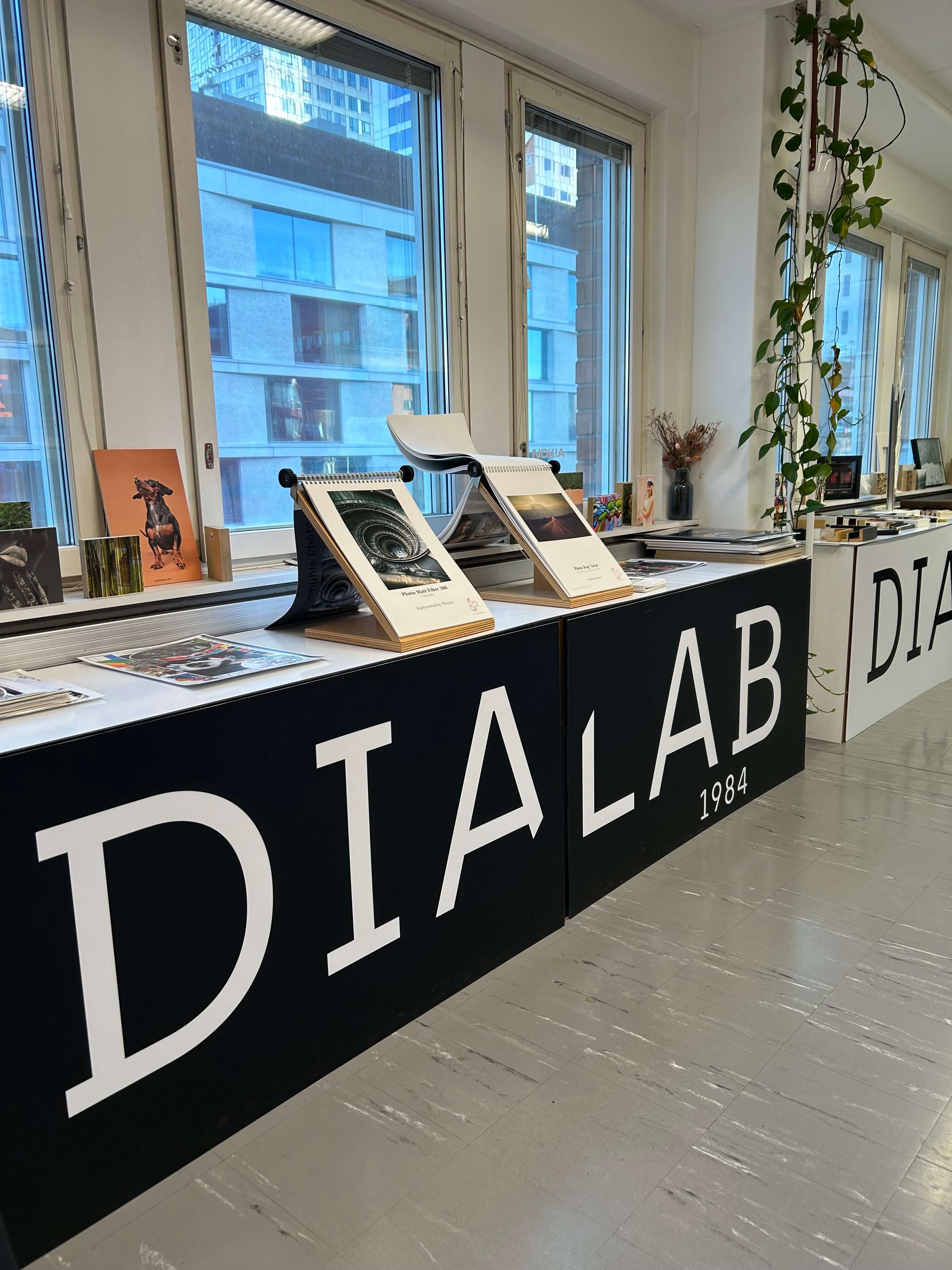 Why I Chose Dialab As My Partner In Prints - Tiia Hurme Photography