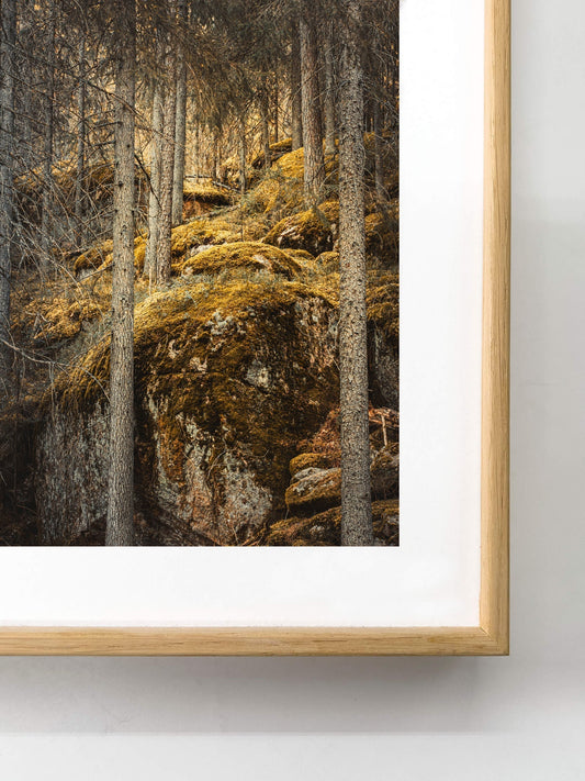 Framing & Display FAQ
