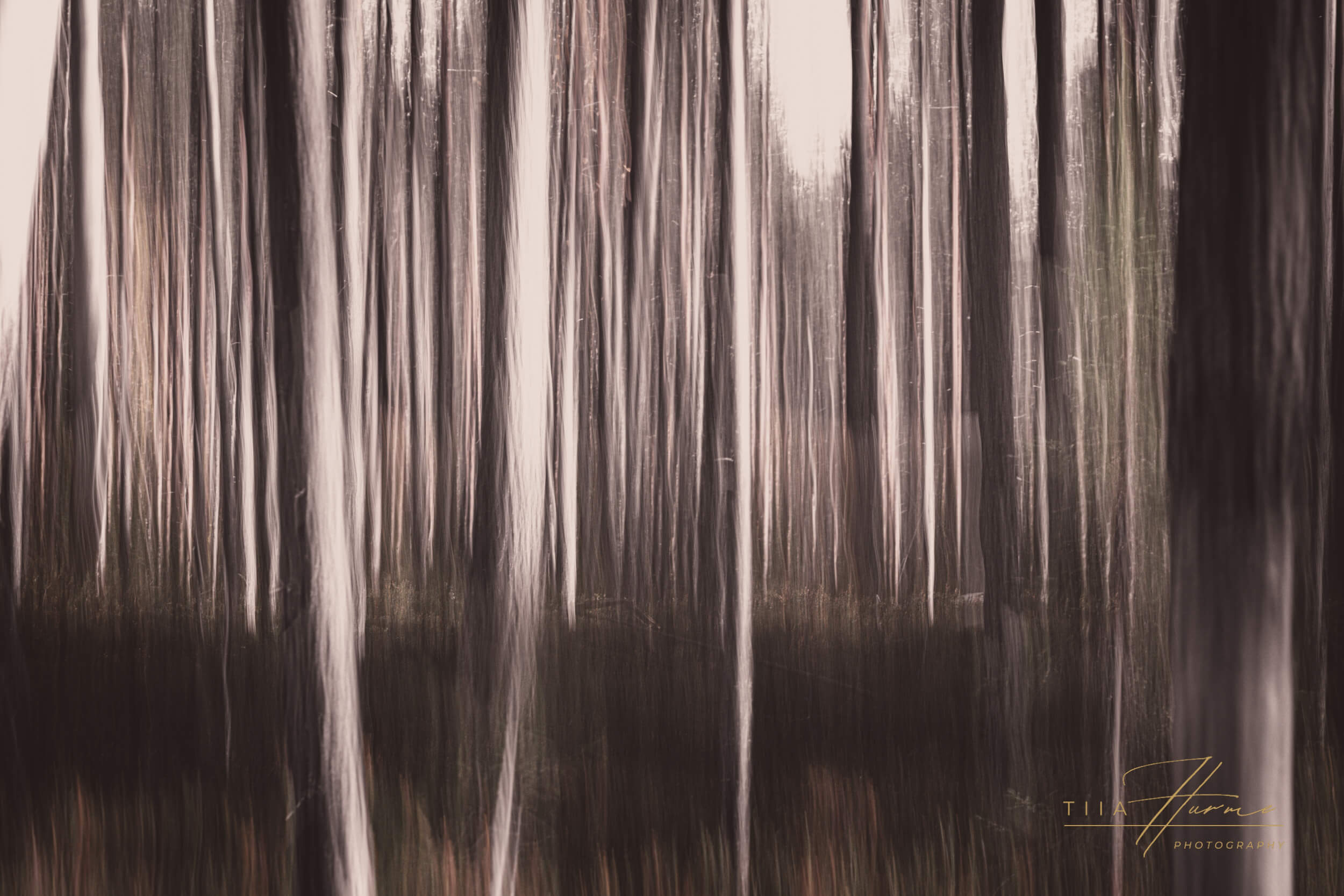 Dark Realms