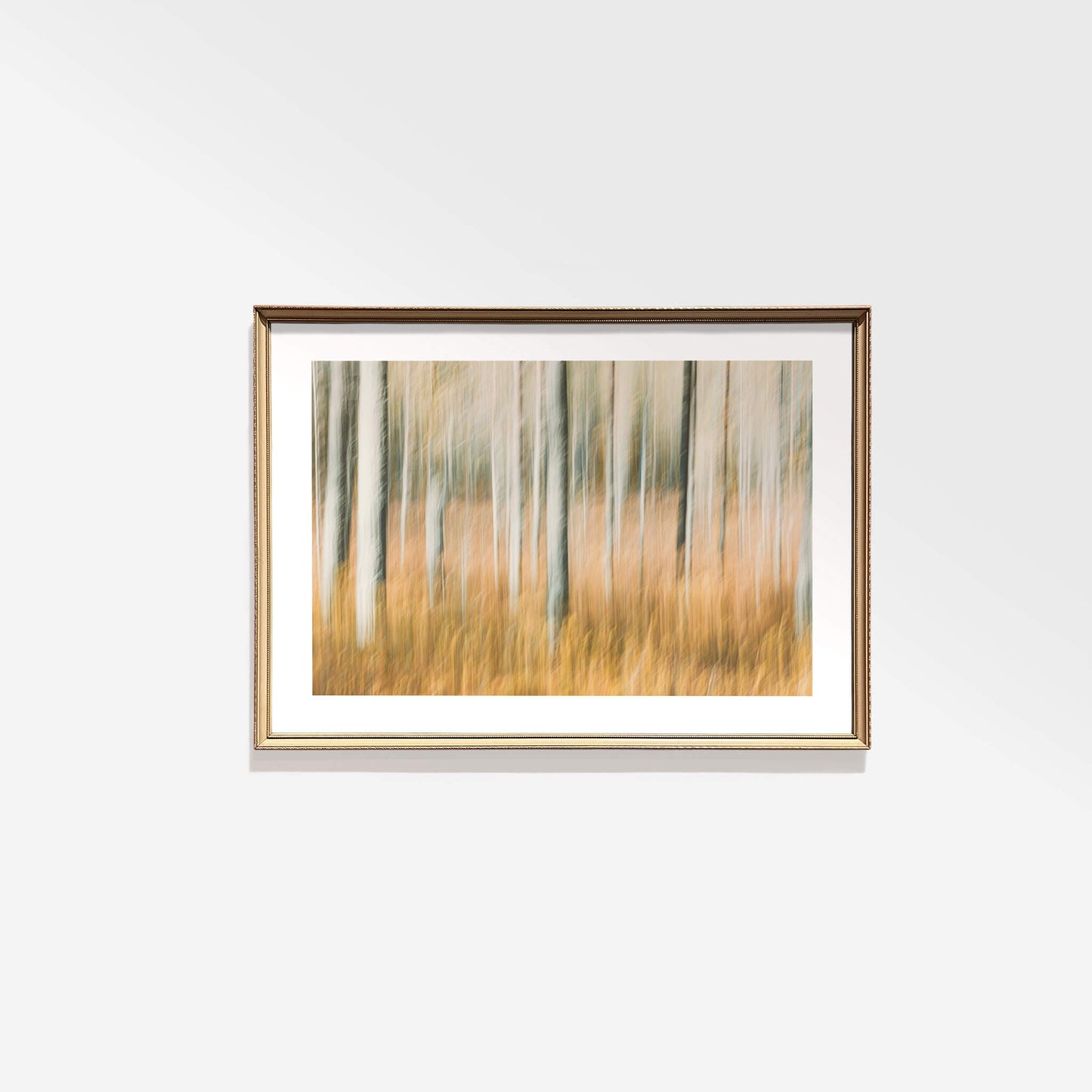 Echo (Mini Fine Art Print)