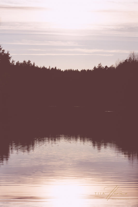 Aallotar