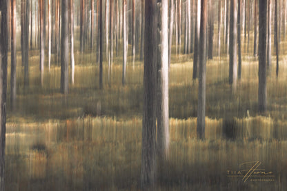 Hearthwood (Mini Fine Art Print)