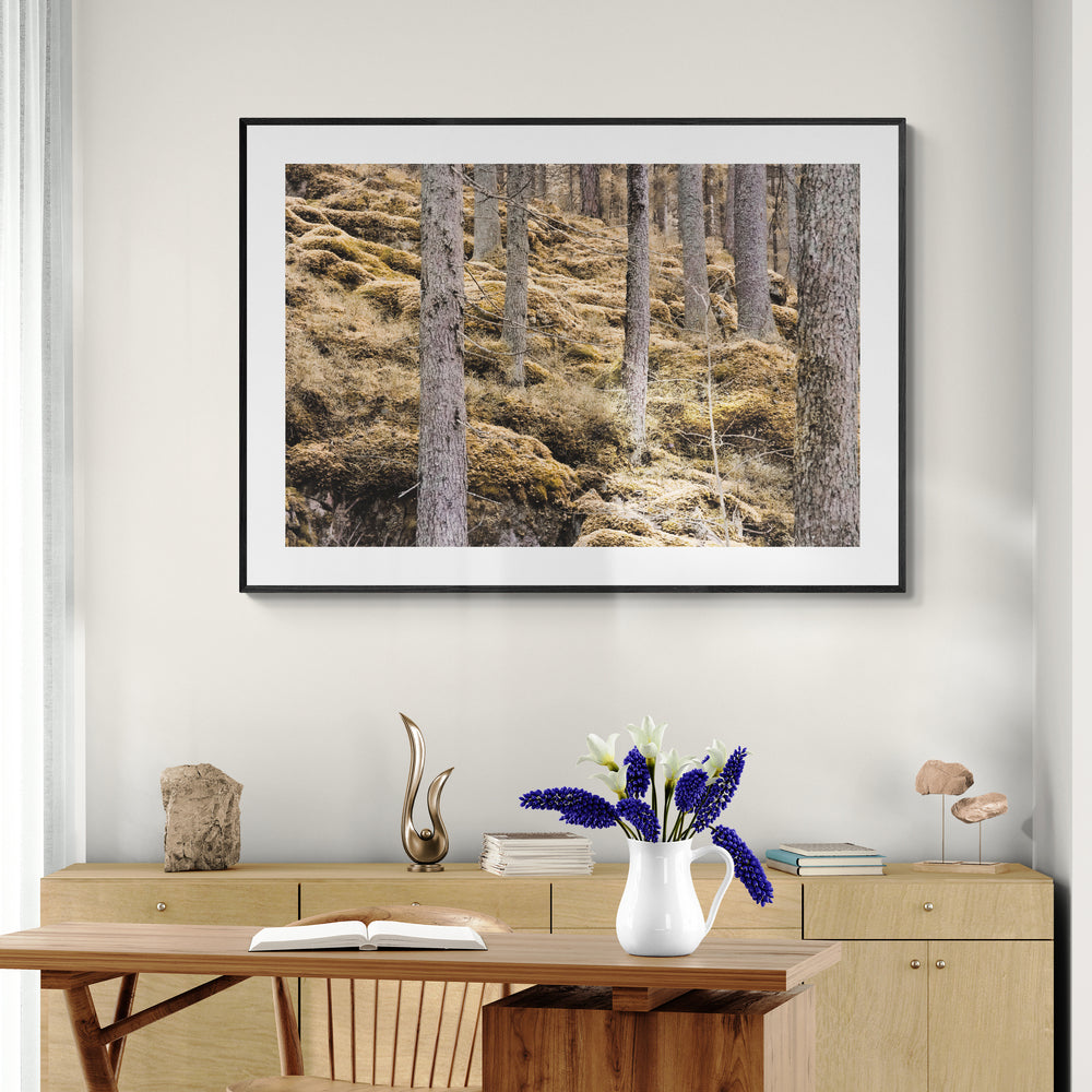 Kansallismaisema / National View