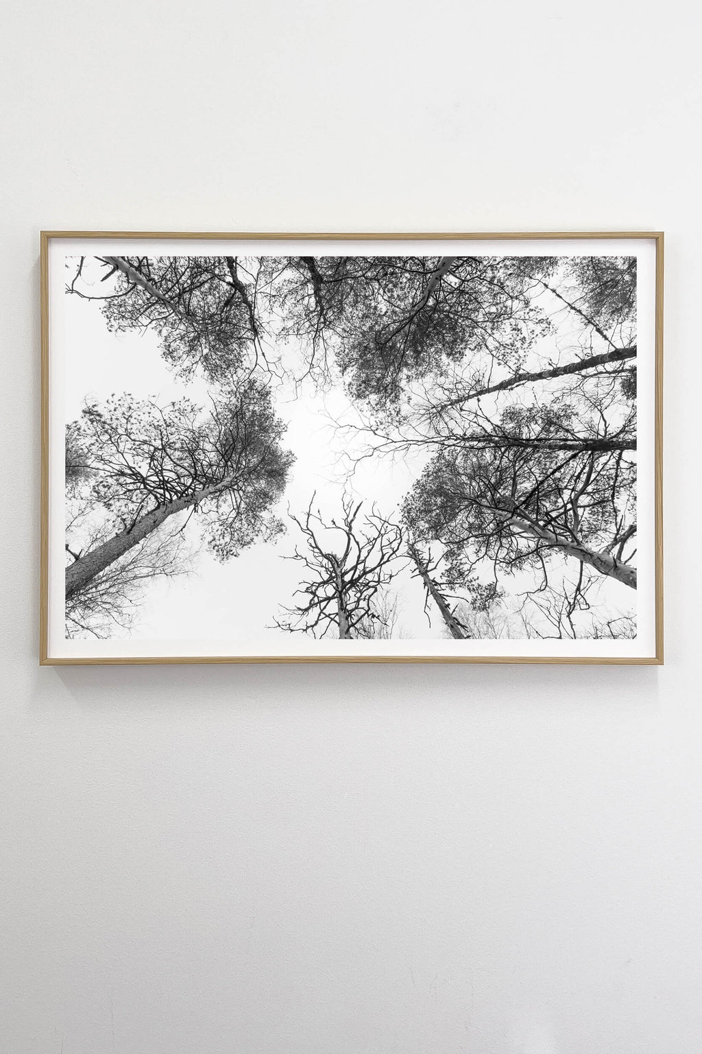 Taivaan Portti - Tiia Hurme Photography