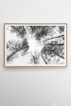 Taivaan Portti - Tiia Hurme Photography