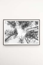 Taivaan Portti - Tiia Hurme Photography