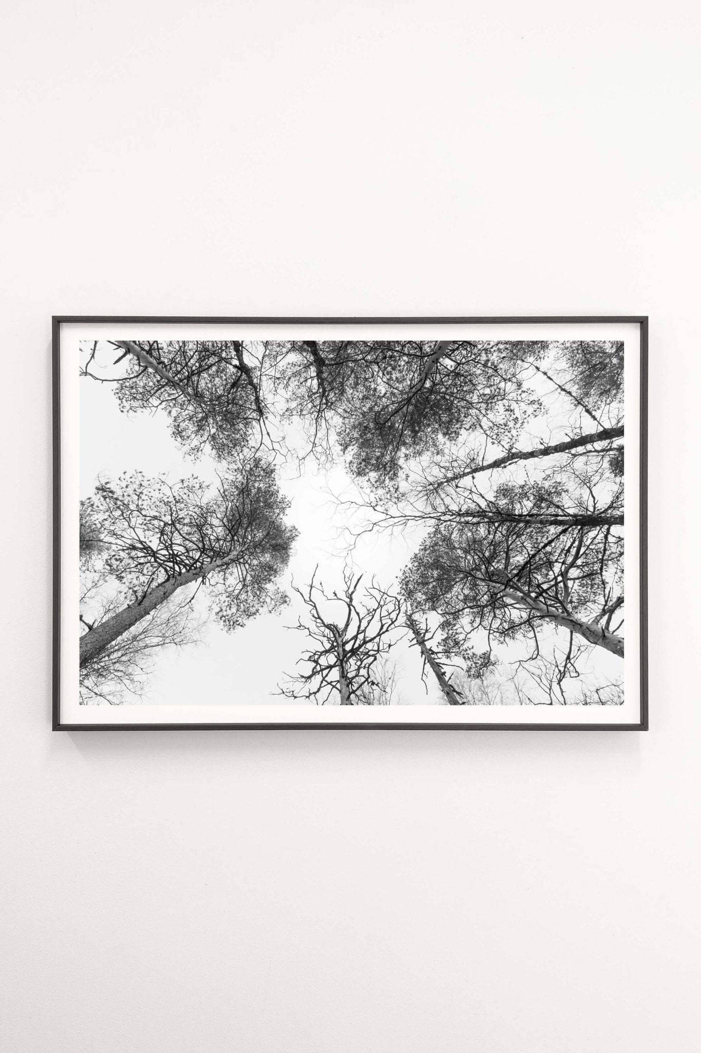 Taivaan Portti - Tiia Hurme Photography