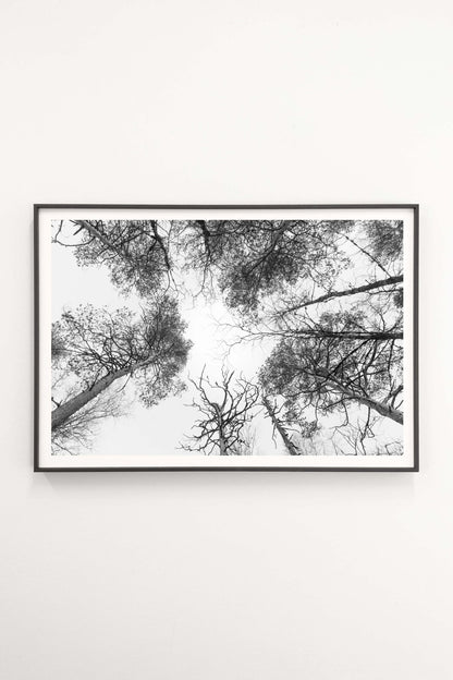 Taivaan Portti - Tiia Hurme Photography