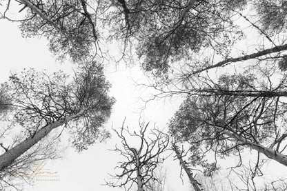 Taivaan Portti - Tiia Hurme Photography