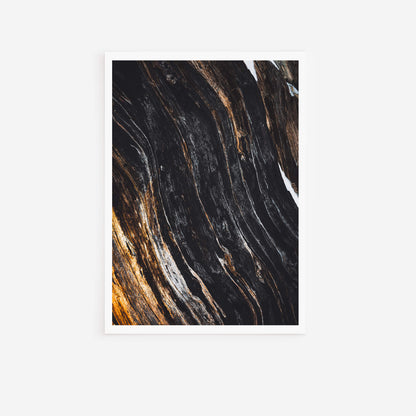 Metsän Vanhin II (Keepsake Fine Art Print)