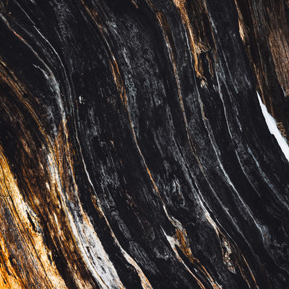 Metsän Vanhin II (Mini Fine Art Print)