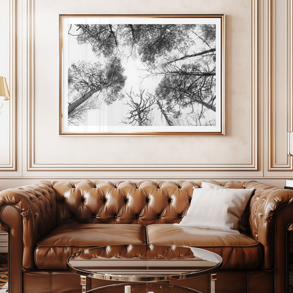 Taivaan Portti - Tiia Hurme Photography