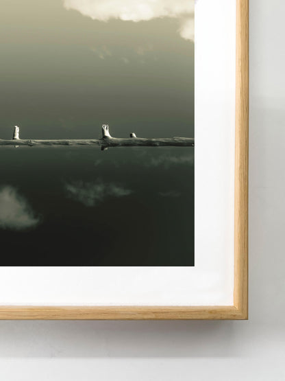 Us Between Two Realms - Tiia Hurme Photography