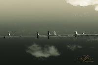 Us Between Two Realms - Tiia Hurme Photography