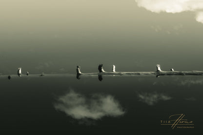 Us Between Two Realms - Tiia Hurme Photography