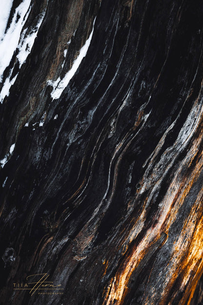 The Elders Set - Tiia Hurme Photography