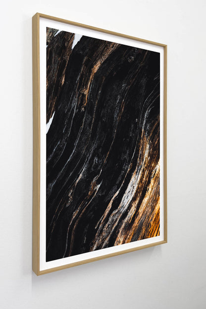 The Elders Set - Tiia Hurme Photography