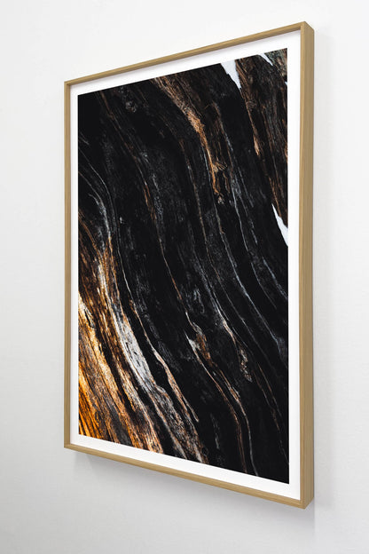 The Elders Set - Tiia Hurme Photography